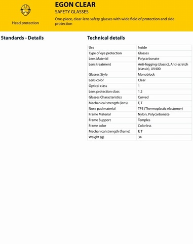 Delta Plus Ergon Clear Safety Spectacle